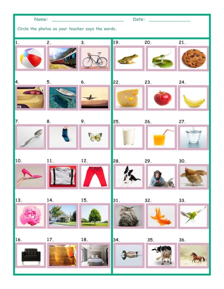 Common Nouns Prekindergarten Worksheet