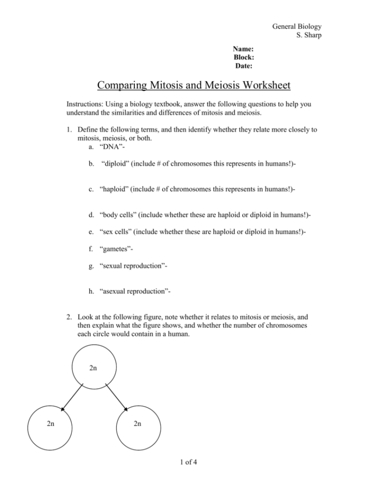 Comparing Mitosis And Meiosis Worksheet