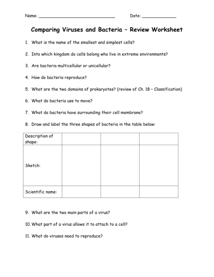 Comparing Viruses And Bacteria – Review Worksheet 1