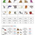 Comparison Of Short Adjectives  Interactive Worksheet
