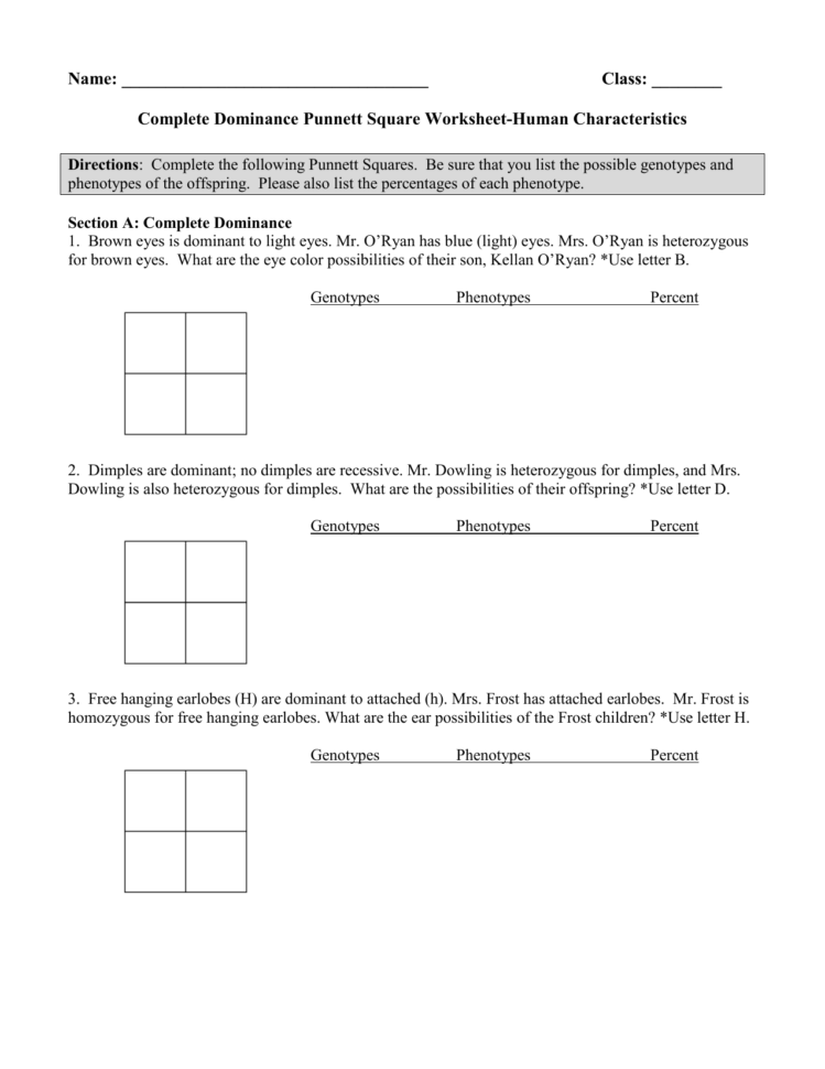 Complete Dominance Punnett Square Worksheet