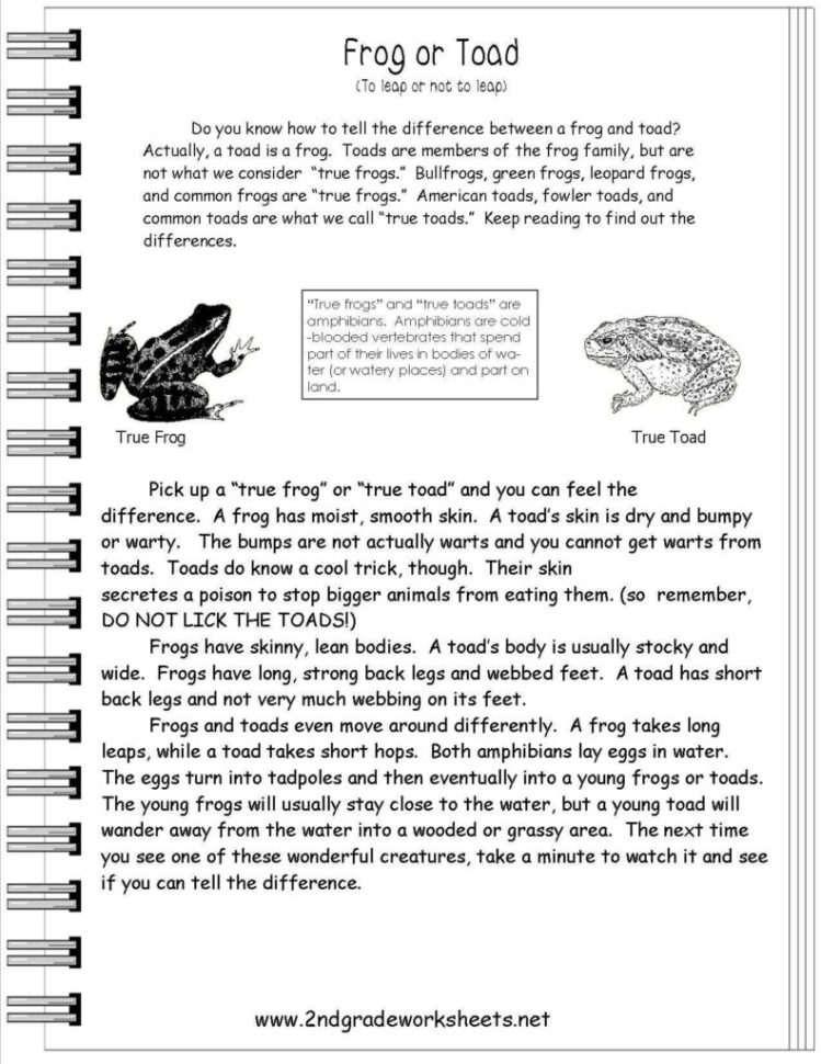 Comprehension Worksheets For Grade 1 Free And Reading Informational