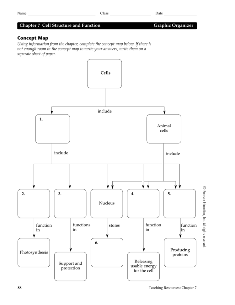 Concept Map Chapter 7 Cell Structure And Function Graphic