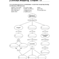 Concept Mapping Chapter 13