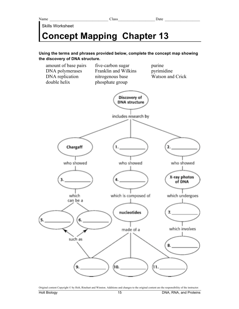 Concept Mapping Chapter 13