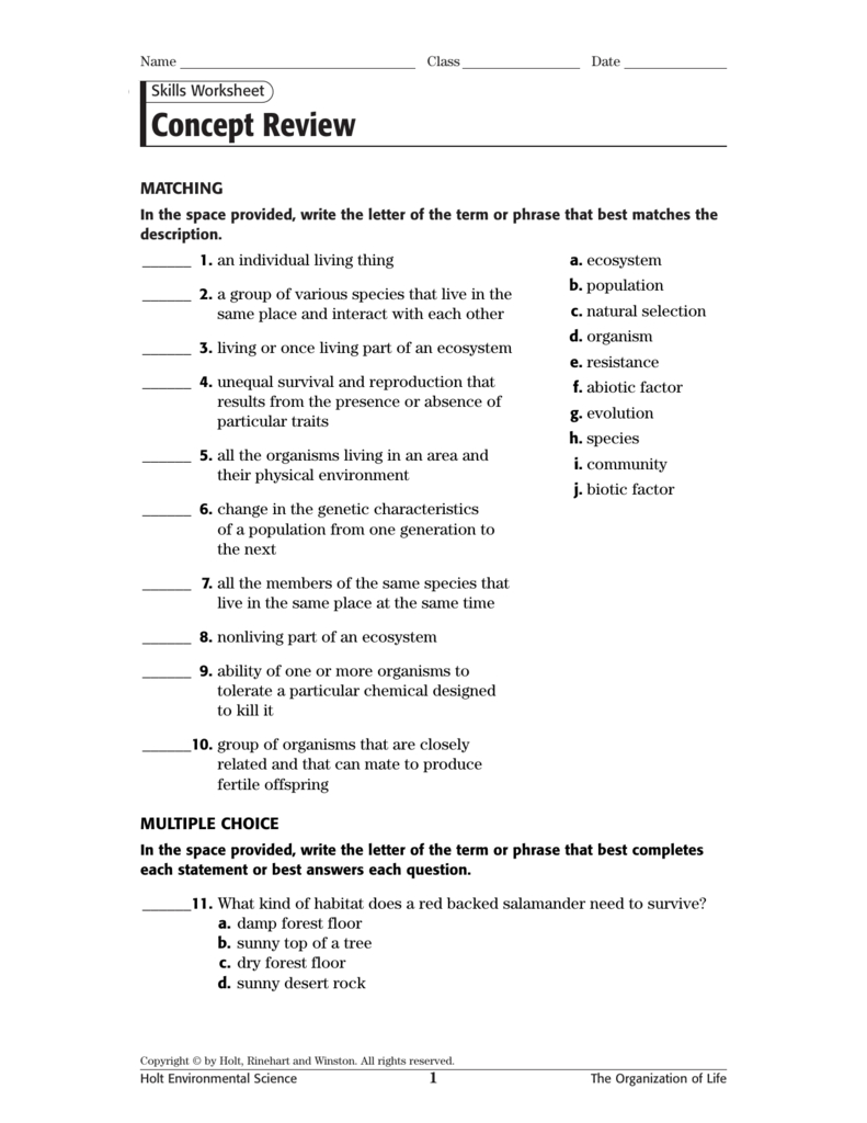 critical thinking worksheet answer key