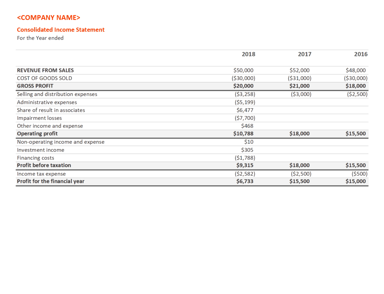 Consolidated Financial Statements Example Format Companies