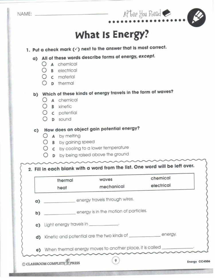 Constitutional Principles Worksheet Answers