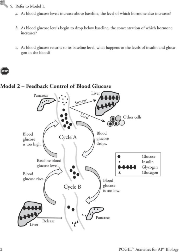 Control Of Blood Sugar Levels  Pdf