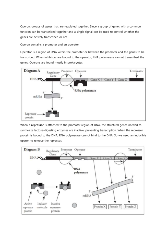Control Of Gene Expression In Prokaryotes