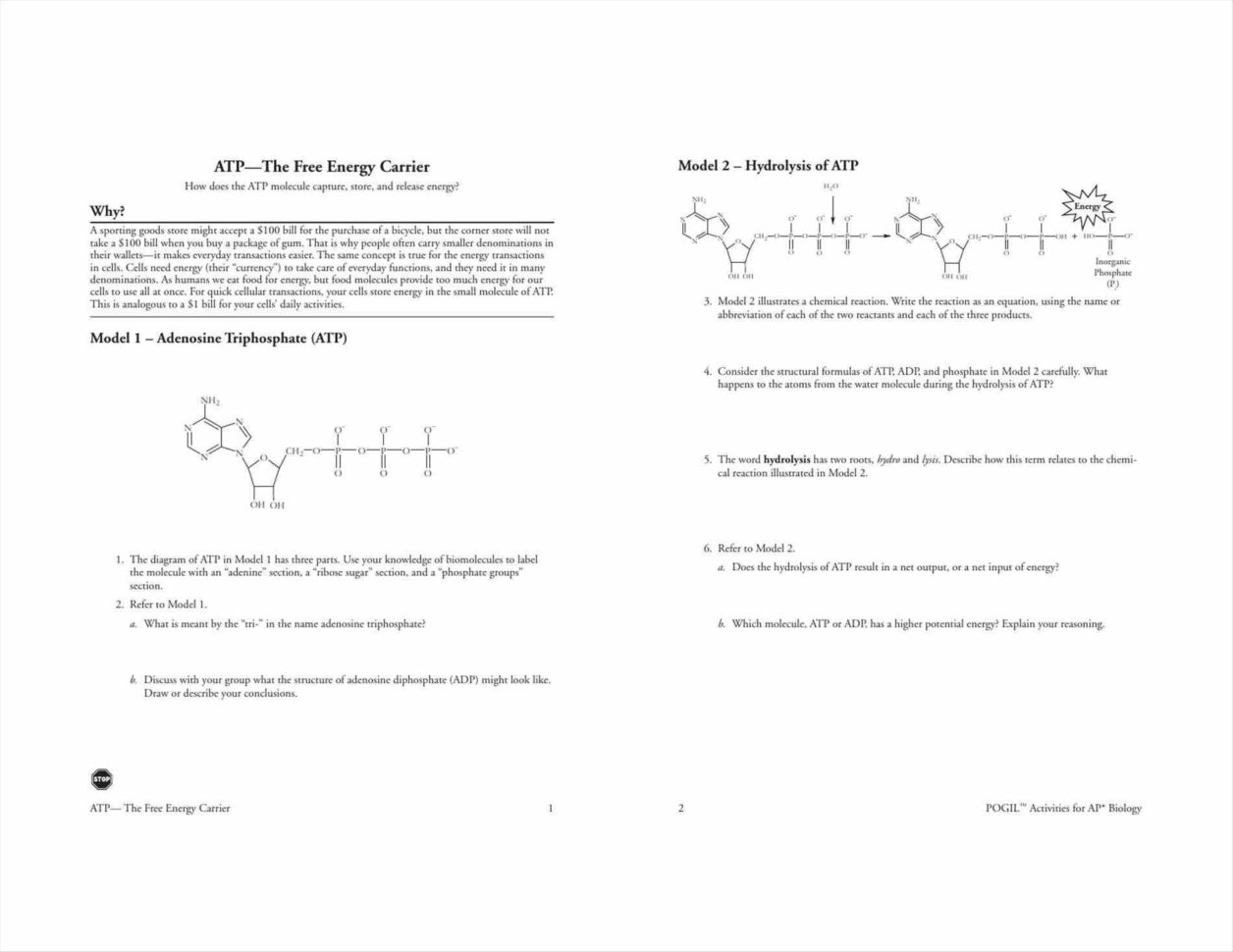 Control Of Gene Expression In Prokaryotes Pogil Worksheet