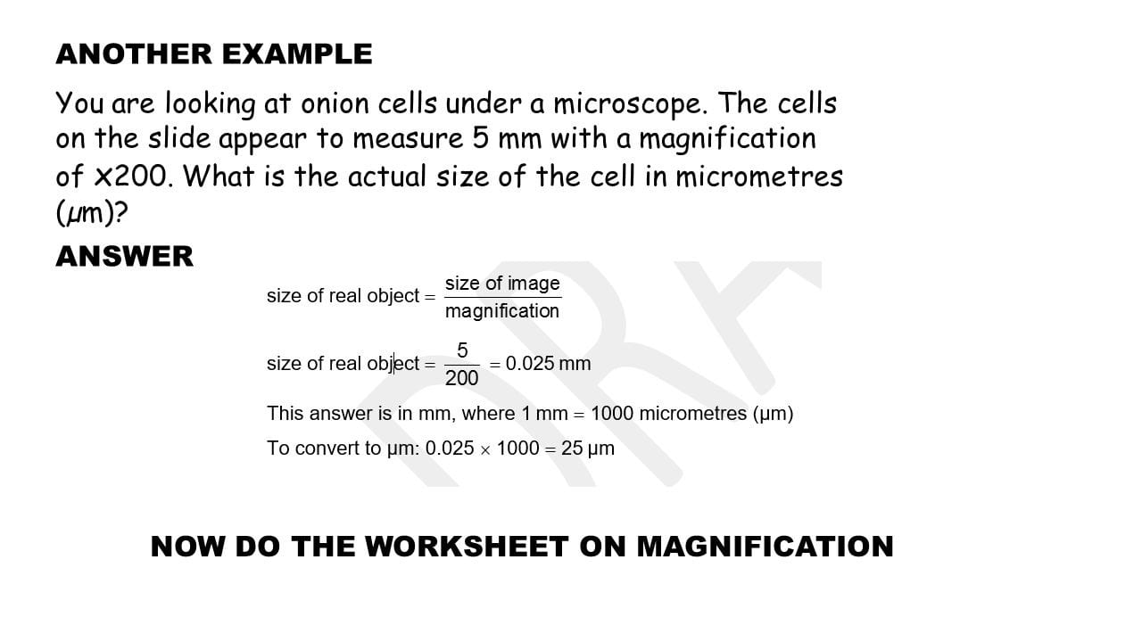 Conversion Units For Microscopes Now Do The Worksheet On