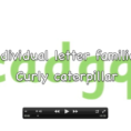 Correct Letter Formation Video Curly Caterpillar Letters