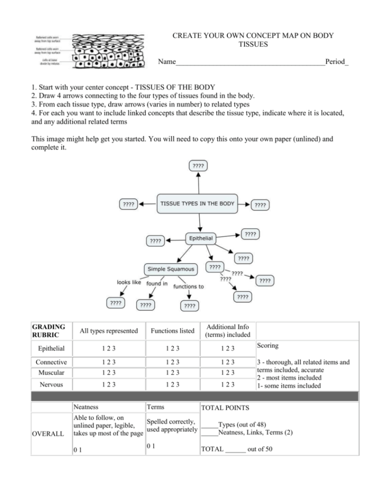 Create Your Own Concept Map On Body Tissues