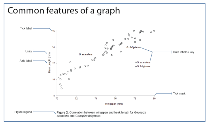 Data Analysis Worksheets High School Science