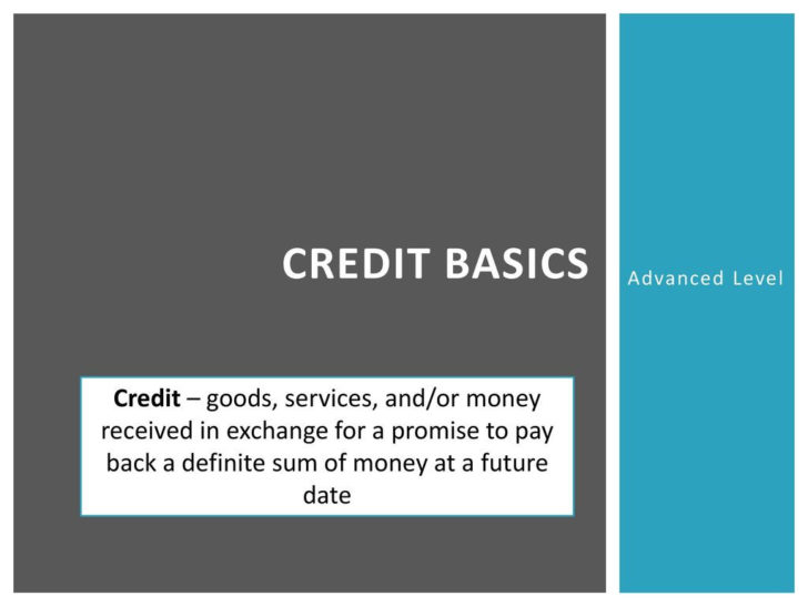 Financial Literacy Credit Basics Worksheet
