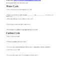 Cycles Worksheet