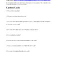 Cycles Worksheet  Coach Nowell