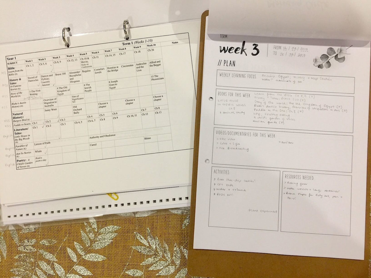 Daddy Day Care Video Worksheet Answer Key