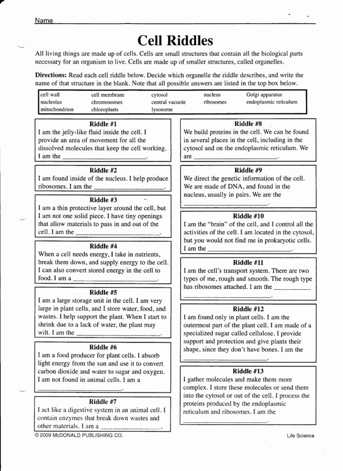 Darwin Natural Selection Worksheet  Netvs