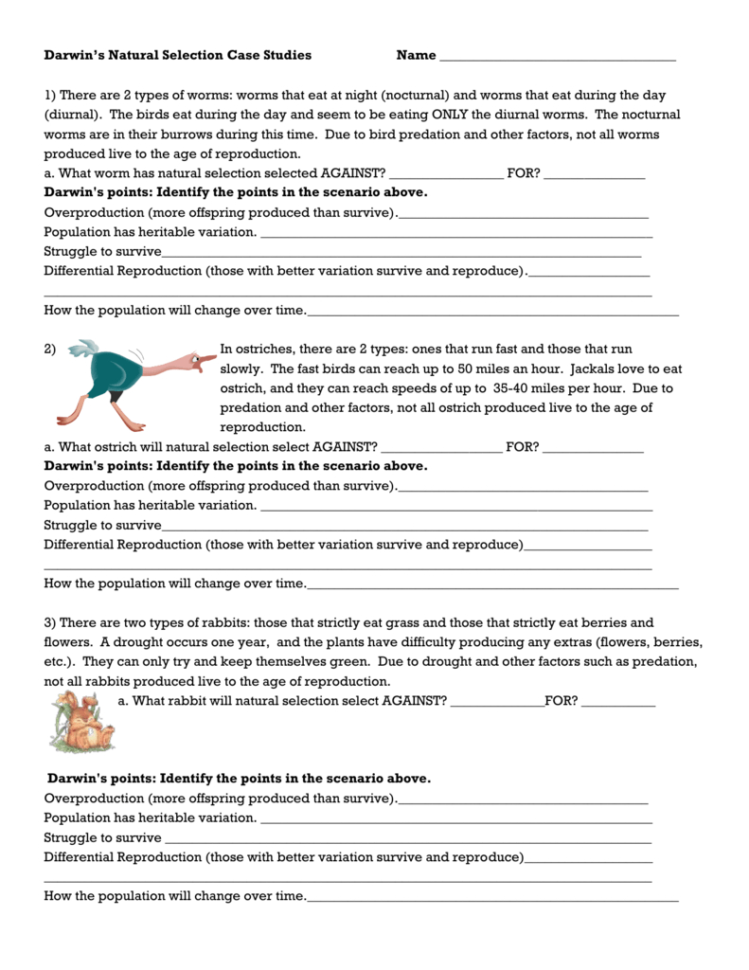 Evolution And Natural Selection Worksheet Answers — db ...