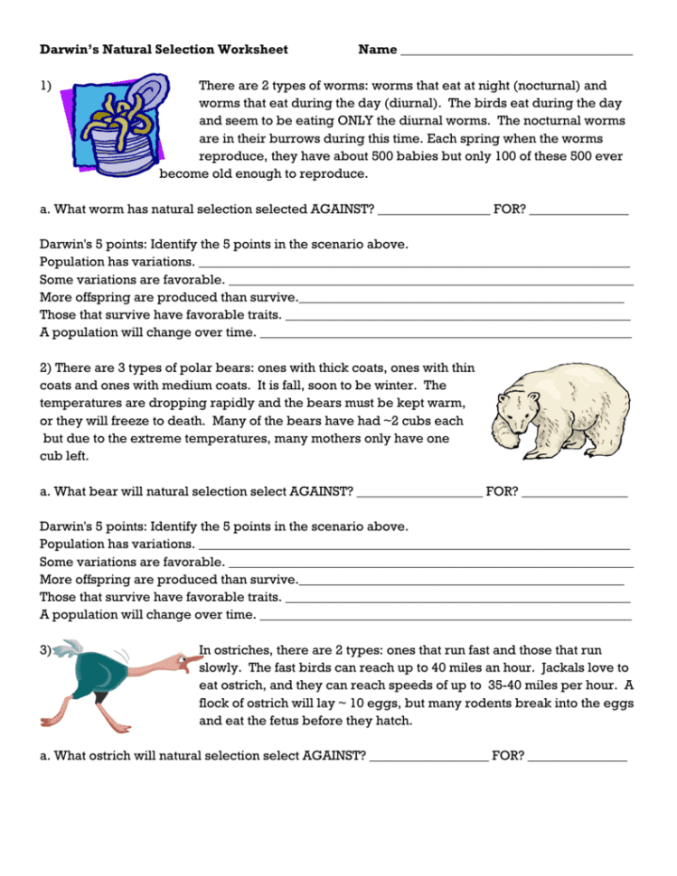 Darwin's Natural Selection Worksheet