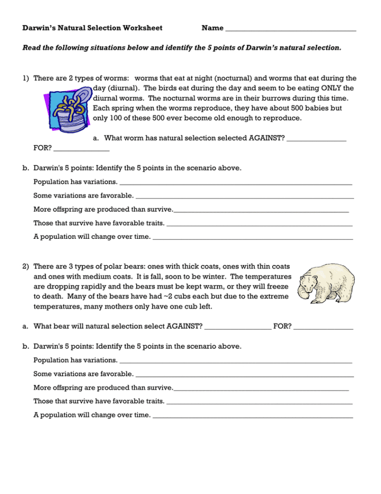 Darwins Natural Selection Worksheet