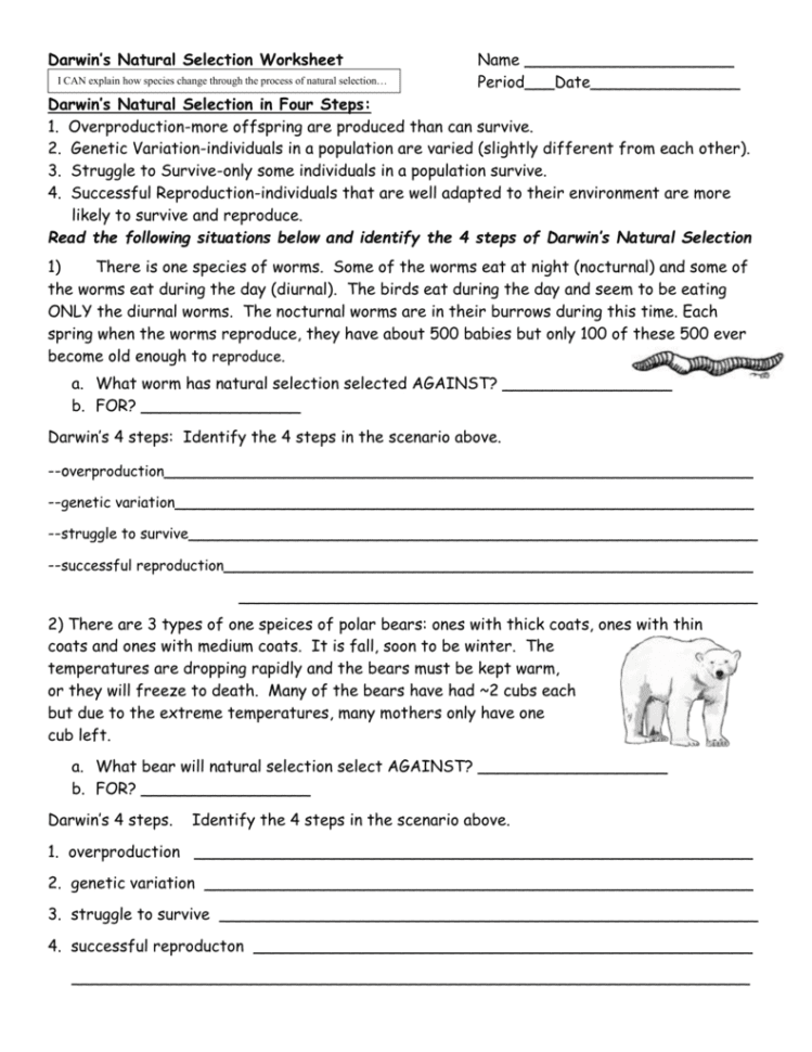 Darwins Natural Selection Worksheet