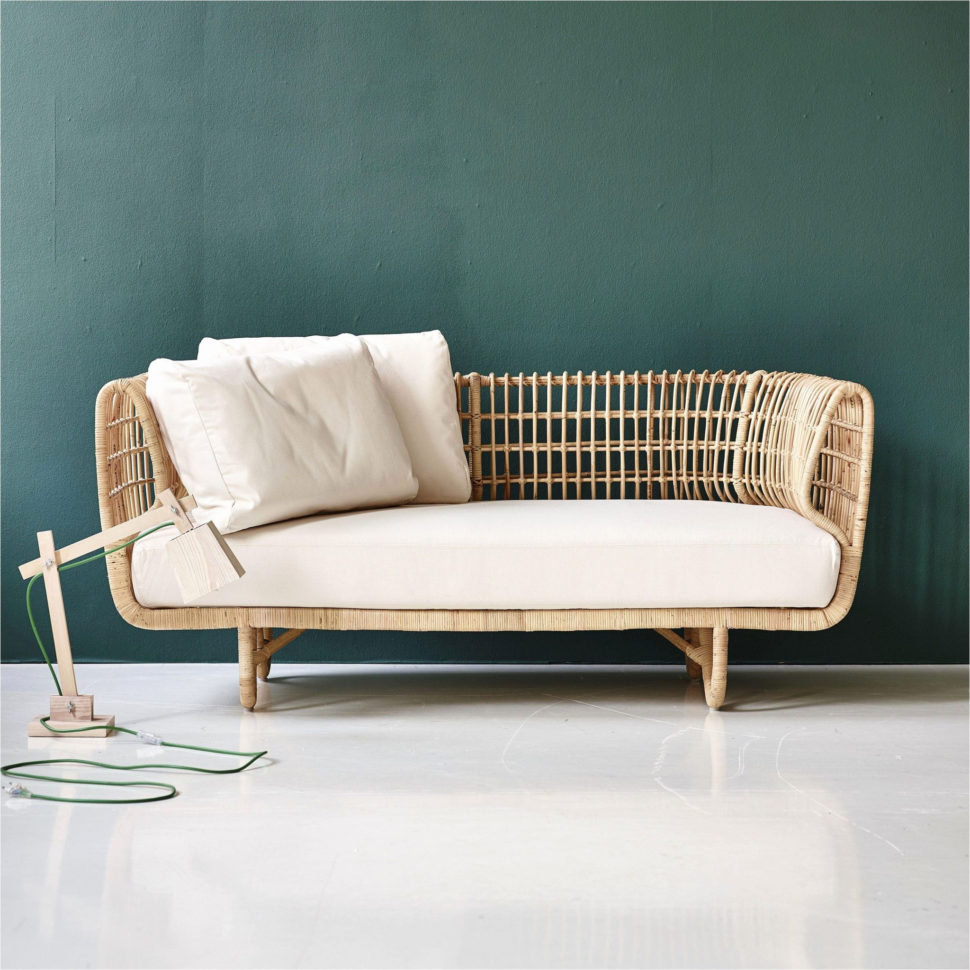 Darwin's Natural Selection Worksheet