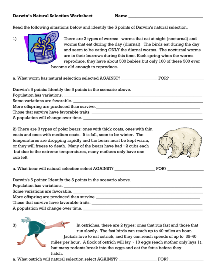 Natural Selection Worksheet — db-excel.com