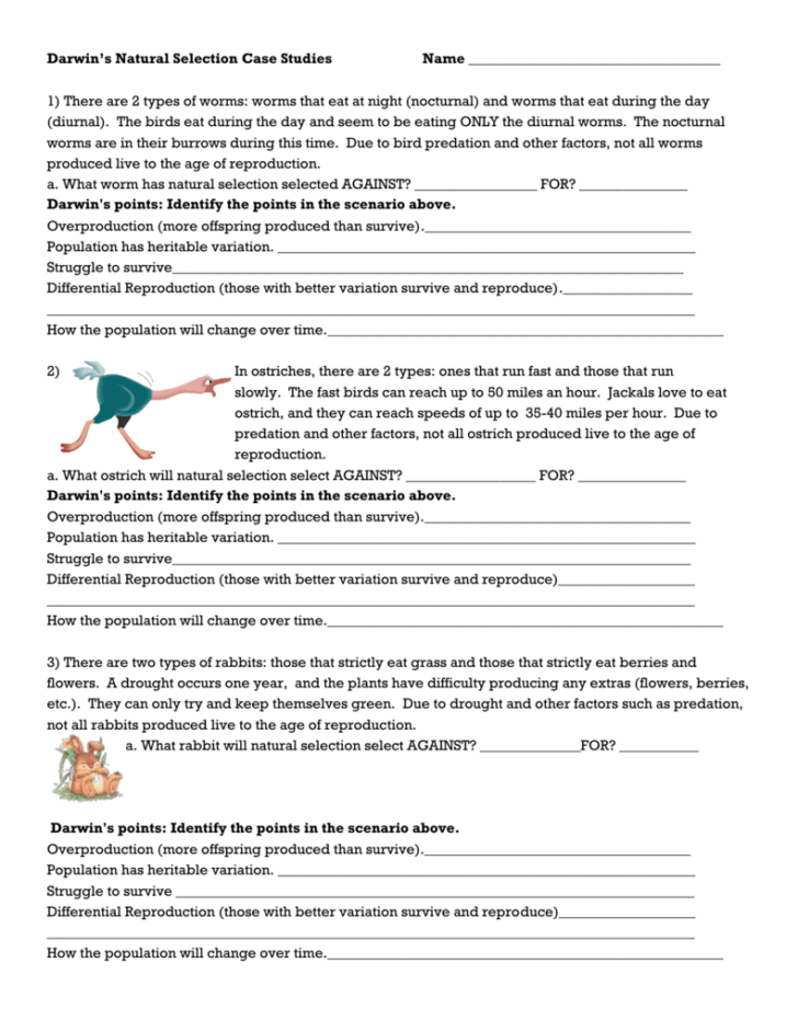 Natural Selection Worksheet — db-excel.com