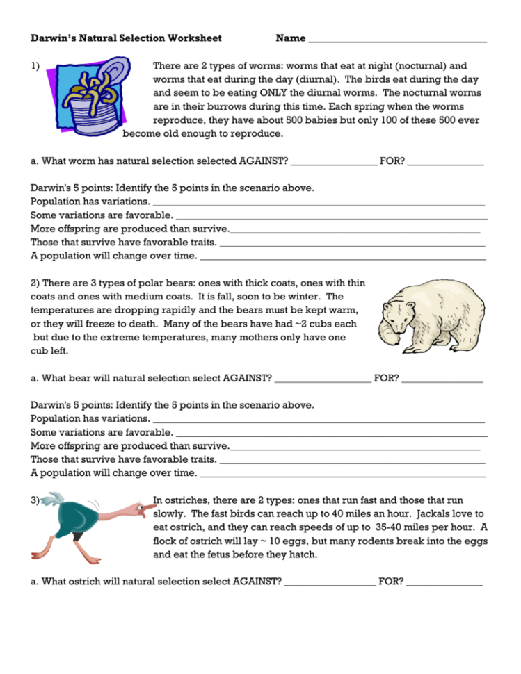 Natural Selection Worksheet — db-excel.com