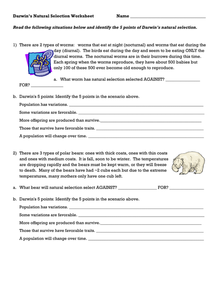 Critical Thinking Understanding Natural Selection Worksheet Answers
