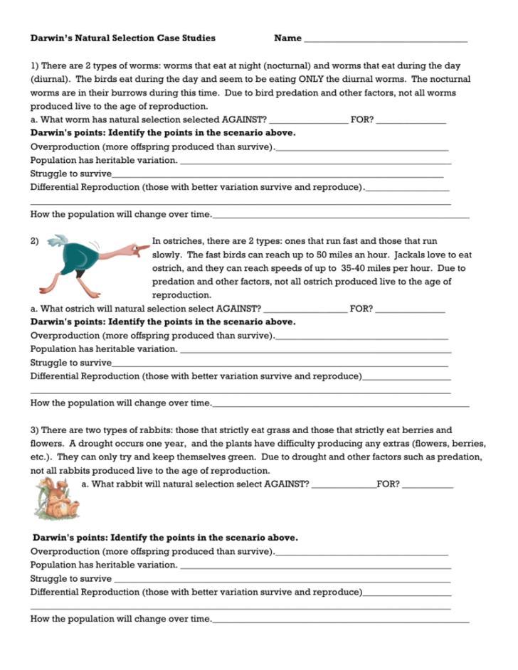 Evolution By Natural Selection Worksheet Answer Key — db-excel.com