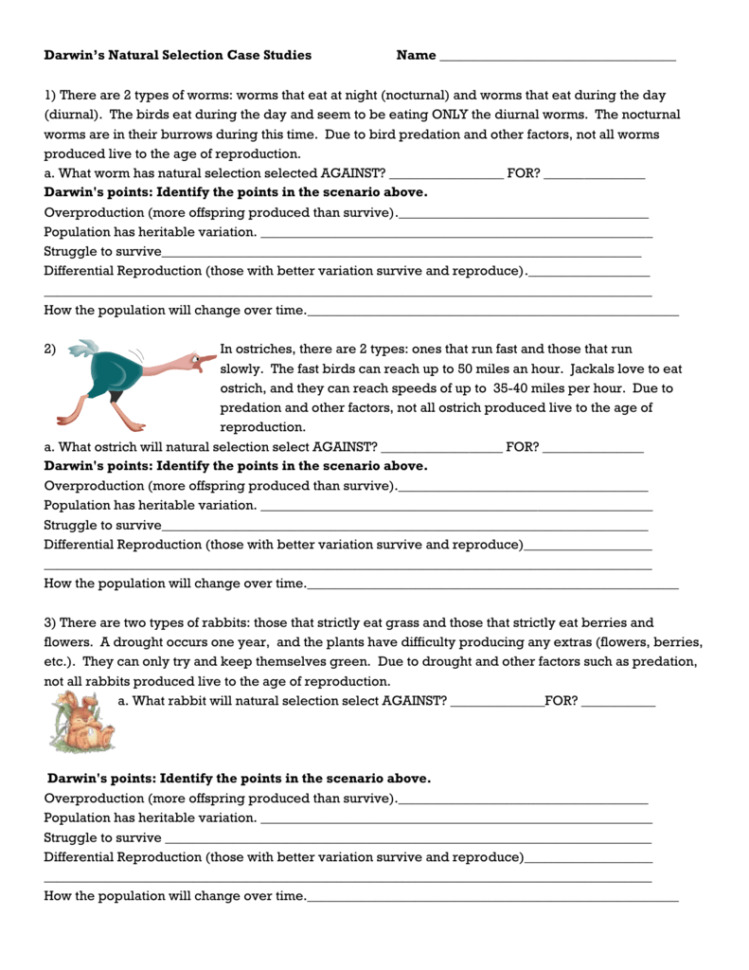 Darwin's Natural Selection Worksheet