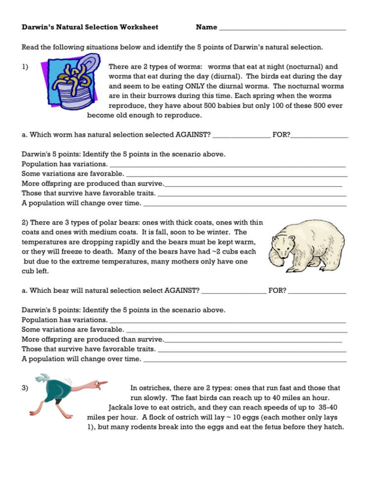 Darwin's Natural Selection Worksheet
