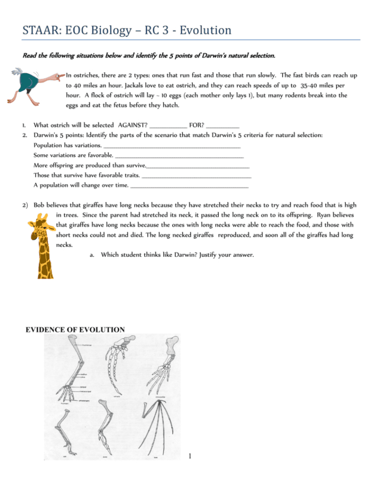 Darwin's Natural Selection Worksheet  Bioeoc