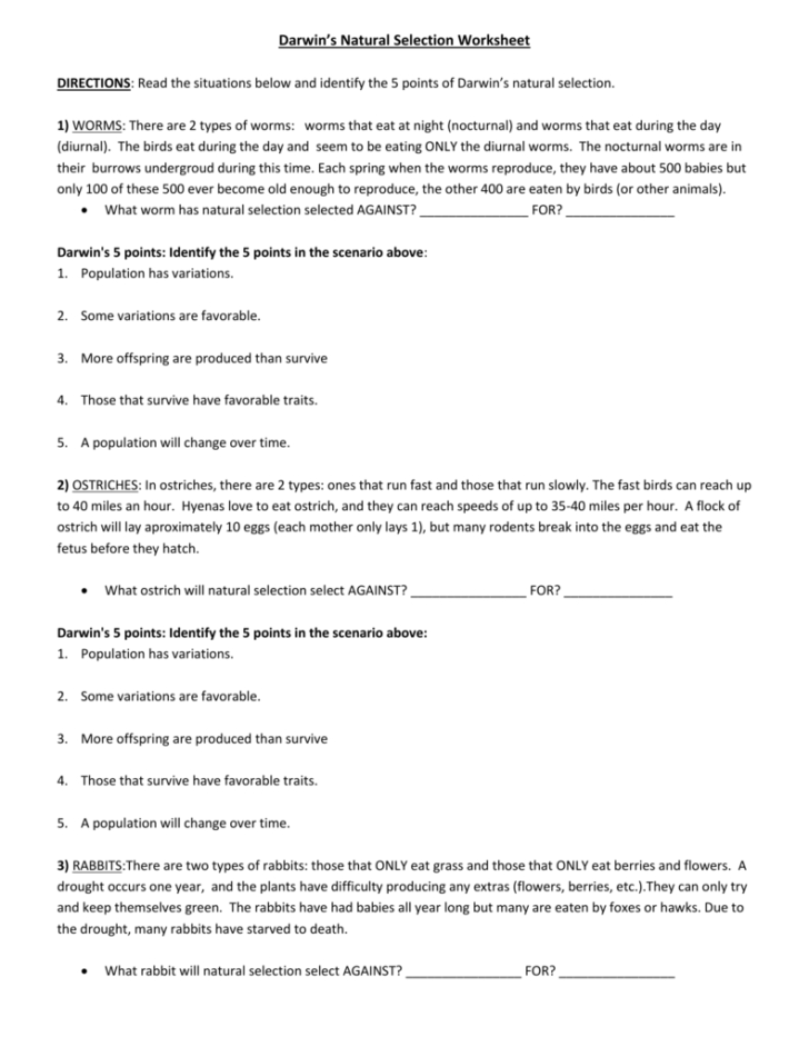 Evolution By Natural Selection Worksheet Answer Key