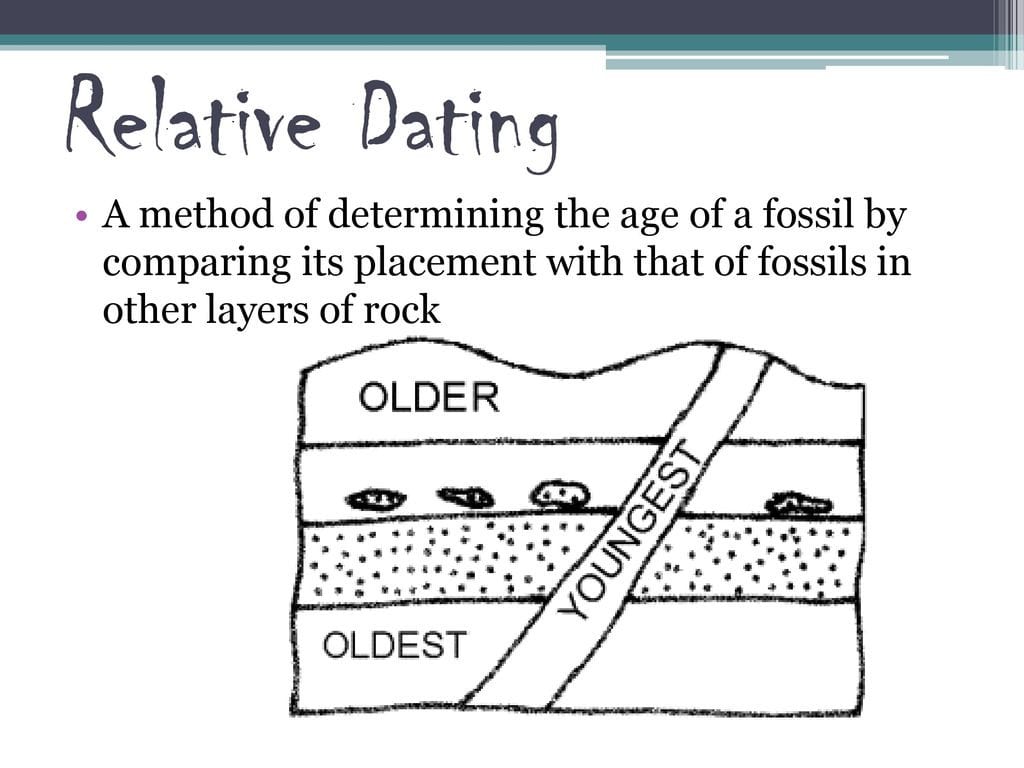 explain the process of relative dating of fossils