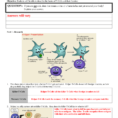 Day 7 Basics Of The Immune System Tcells  Answer