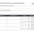 Defining Social Emotional Learning Sel Skills  Xsel Labs