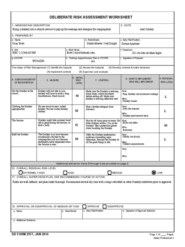 Deliberate Risk Assessment Worksheet  Funresearcher