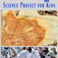 Dendroology  Tree Rings Science Project For Kids