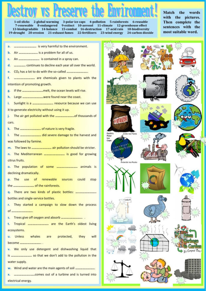 Destroy Vs Preserve The Environment  Interactive Worksheet