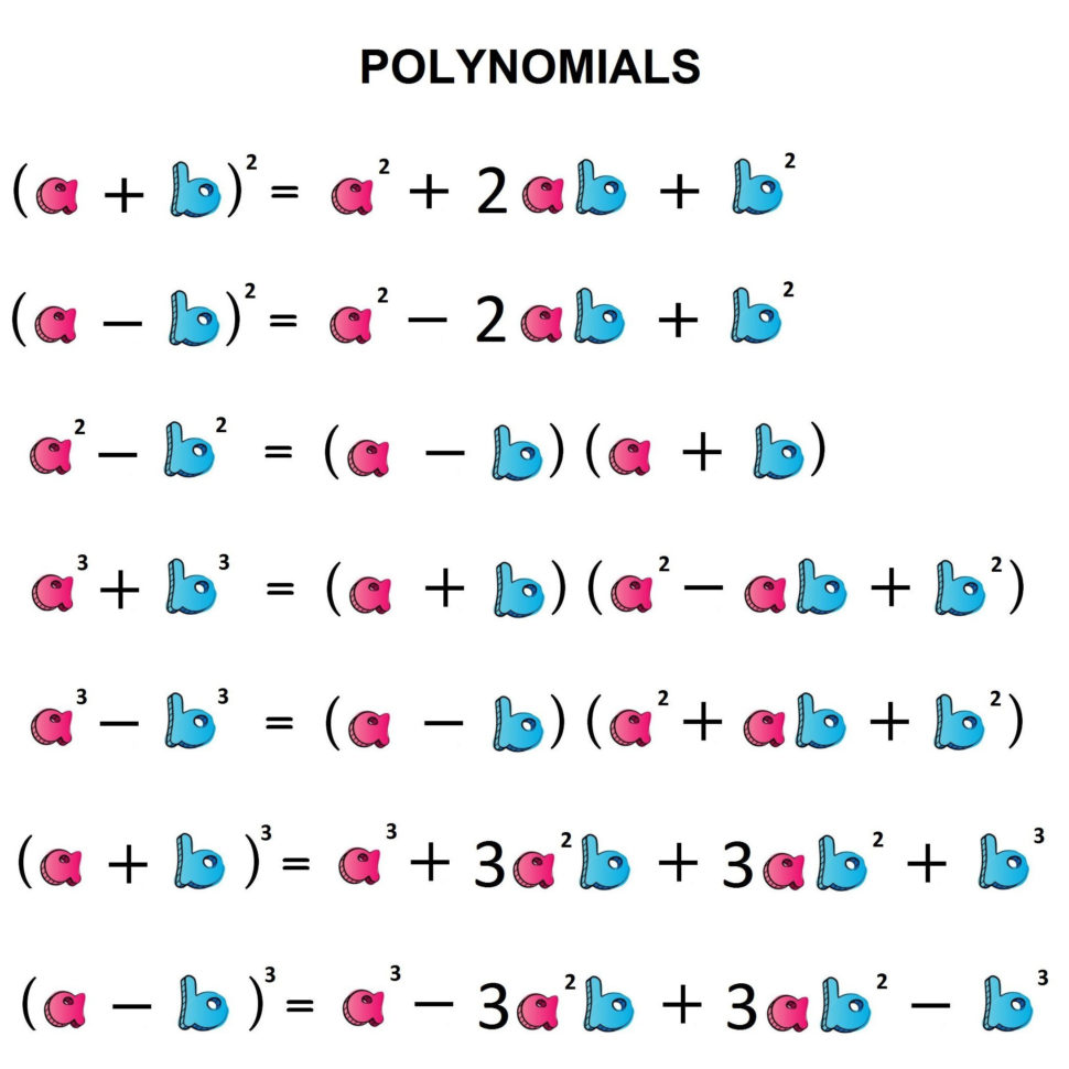 Determining Polynomials Basic Operations Most Important Rules