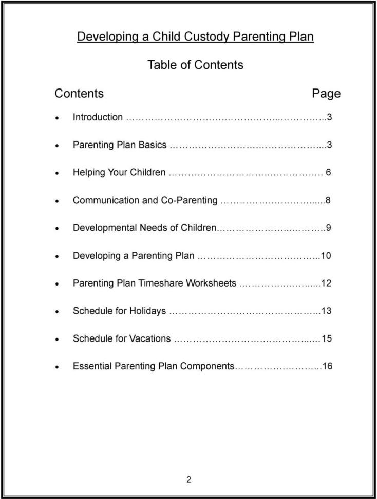 Developing A Child Custody Parenting Plan  Pdf