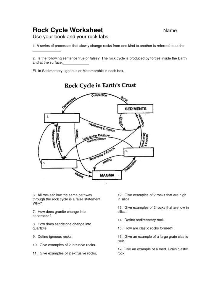 Diagram Ter Cycle Diagram Worksheet Answers Full Version Hd