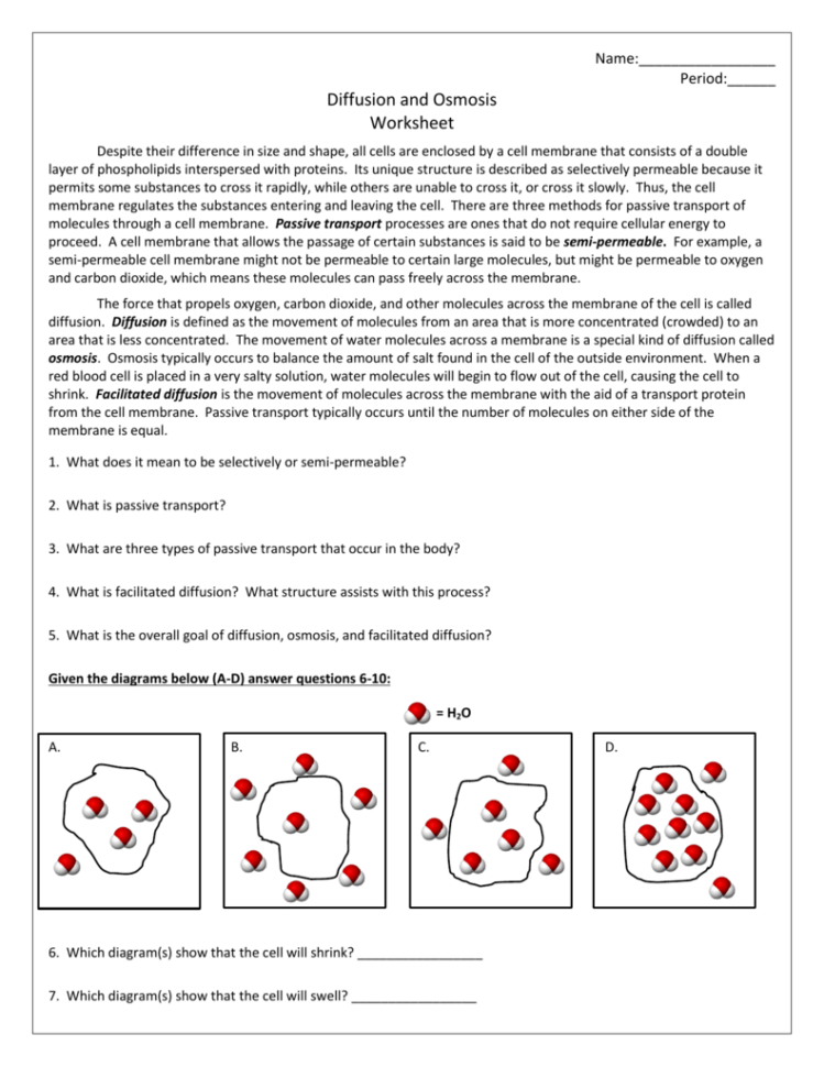 Diffusion And Osmosis Worksheet