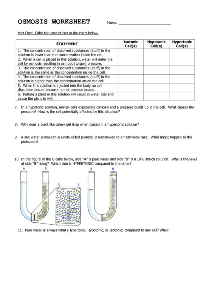 Science 8 Diffusion And Osmosis Worksheet Answers