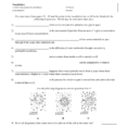 Diffusion And Osmosis Worksheet  Netvs